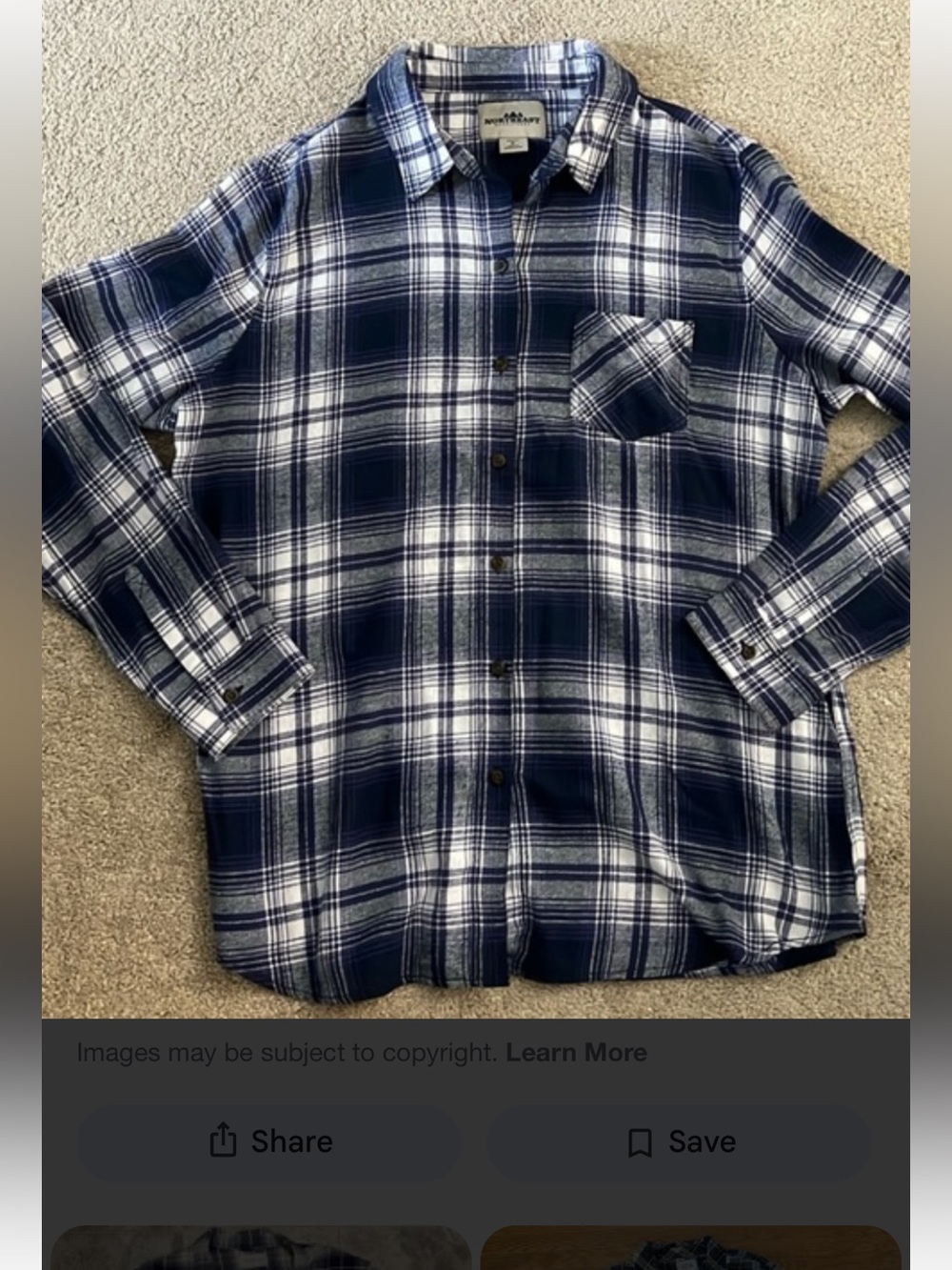 Northeast Outfitters Men's Blue and White Plaid Button-Down Shirt